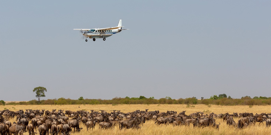 Safari Kenya