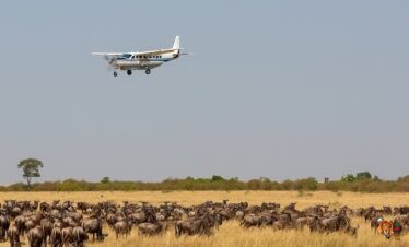 Kenya Incentives Tours and Safaris- Safari Kenya