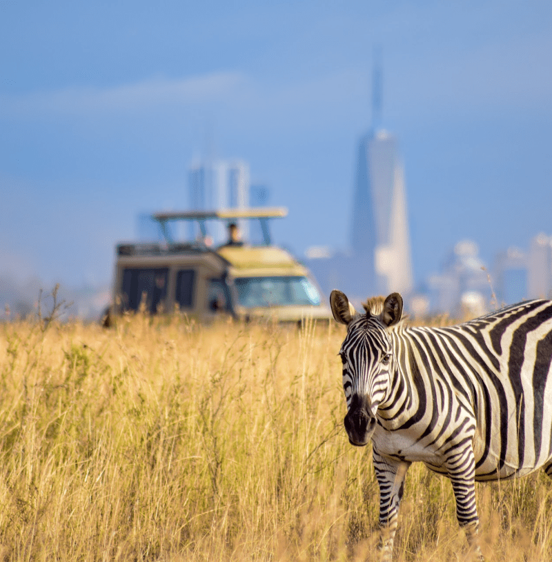 Nairobi National Park Half Day Tour