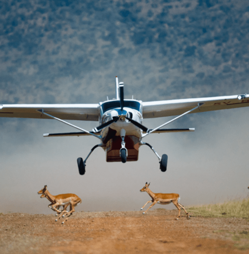 Flying Safari 4 Days 3 Nights Masai Mara