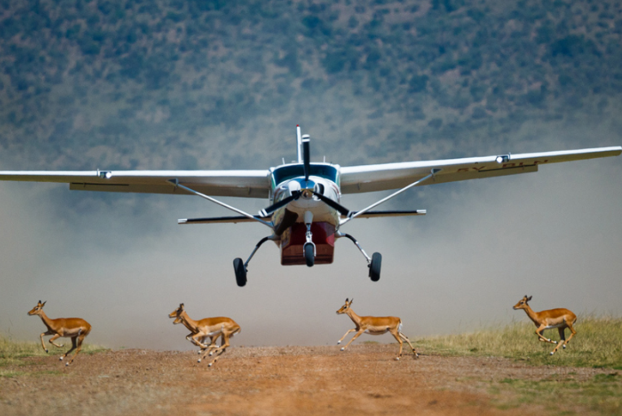 Flying Safari 4 Days 3 Nights Masai Mara