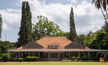 Karen Blixen Museum, David Sheldrick Elephant Orphanage Tour