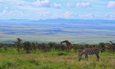 This is Kenya & Tanzania safari 10 Days 9 Nights