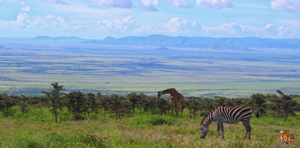 This is Kenya & Tanzania safari 10 Days 9 Nights