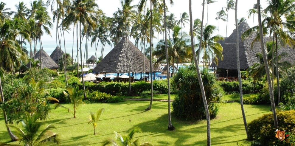 Embark on a Kenya/Zanzibar HONEYMOONERS Safari