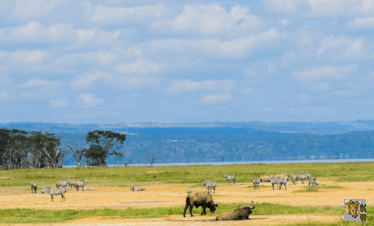 LAKE NAKURU DAY TRIP