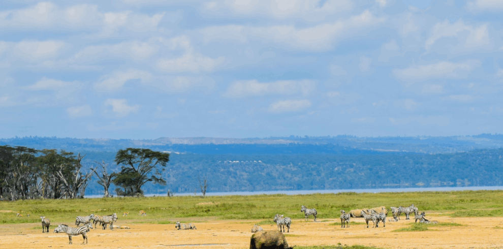 LAKE NAKURU DAY TRIP