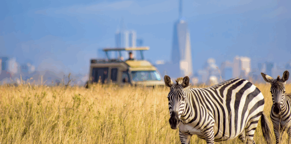 Nairobi National Park Half Day Tour