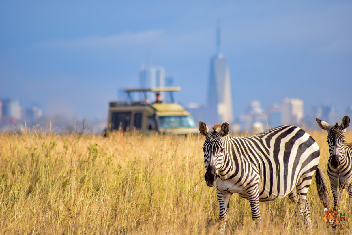 Nairobi National Park Half Day Tour