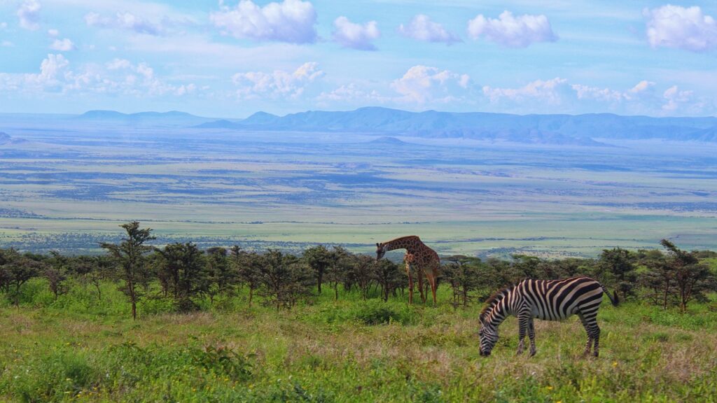 This is Kenya & Tanzania safari 10 Days 9 Nights