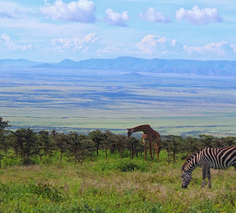 This is Kenya & Tanzania safari 10 Days 9 Nights