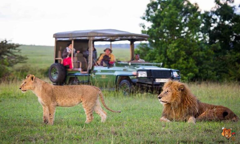 【非洲肯亞Safari】Part 3 - Kenya Safari Travel Agency Review | Masai Mara