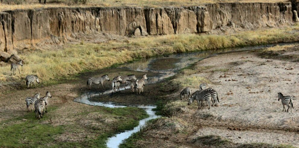 Best of Kenya & Tanzania 12-Day Safari