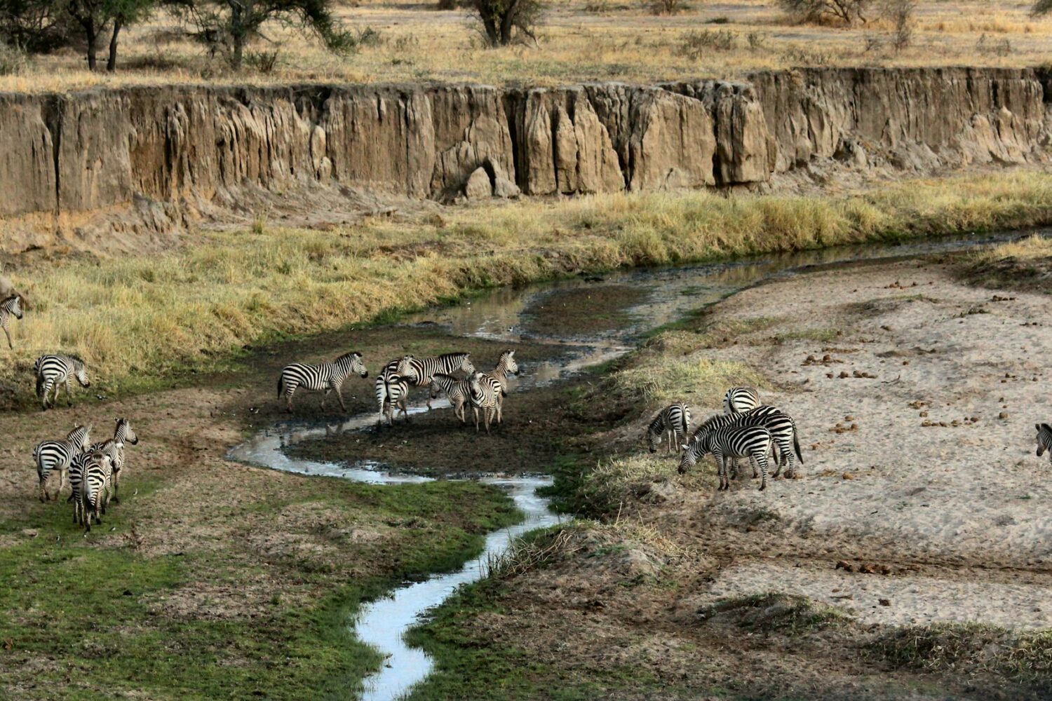Best of Kenya & Tanzania 12-Day Safari