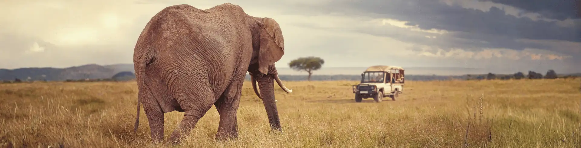 Kenya Incentives Safaris and Tours - 7 Day Kenya Safari from Nairobi