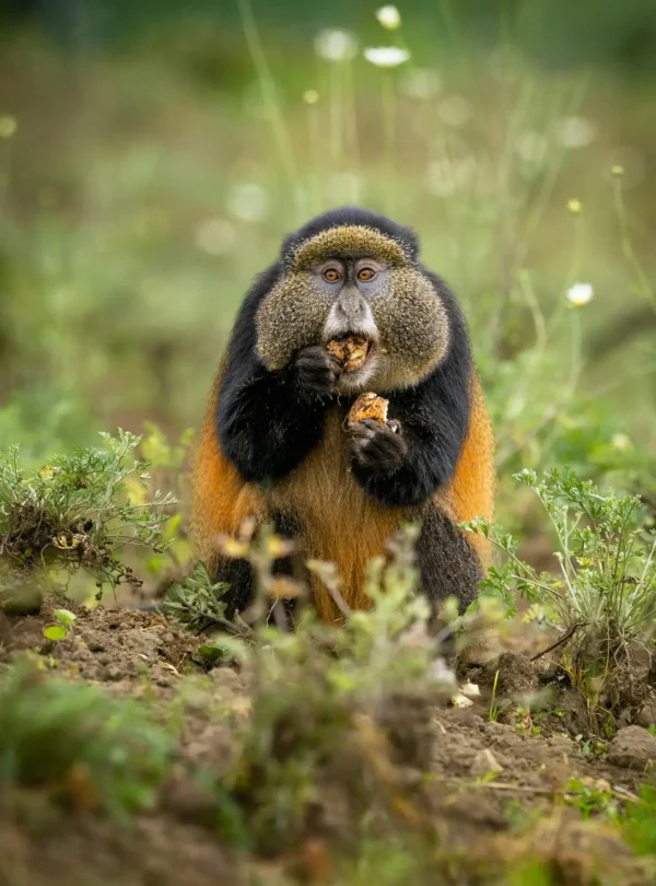 Kenya incentives safaris and tours limited Destinations (2)