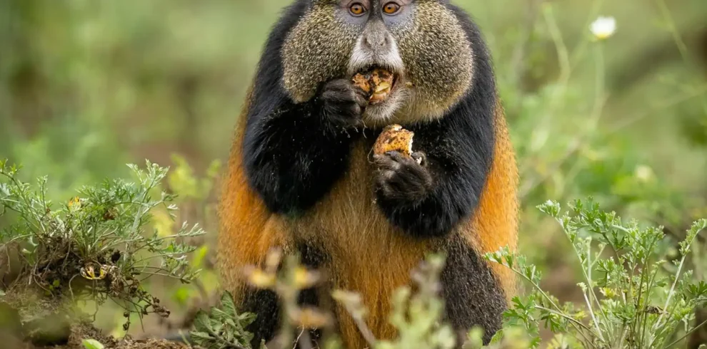 Kenya incentives safaris and tours limited Destinations (2)