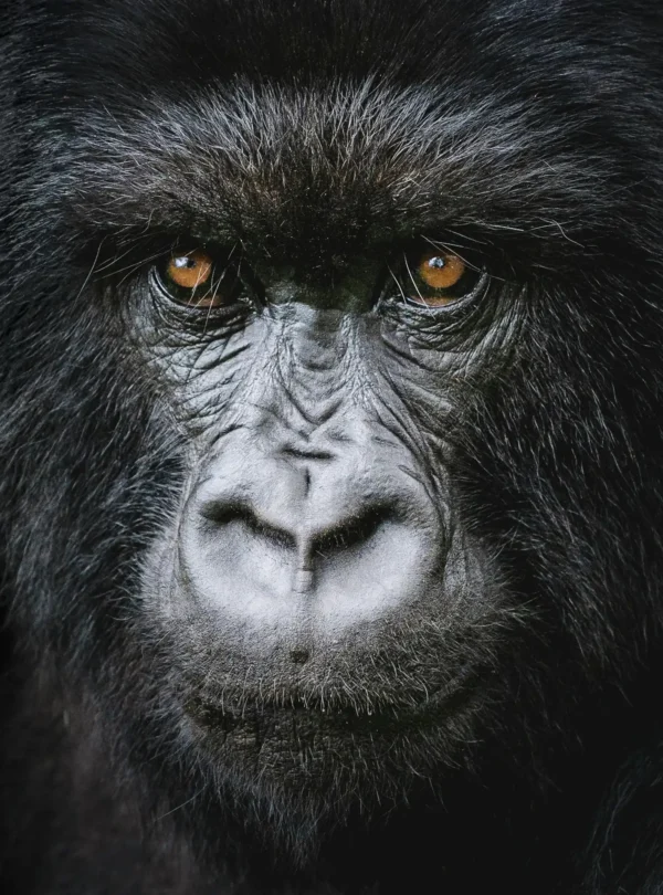Kenya incentives safaris and tours limited Destinations (3)