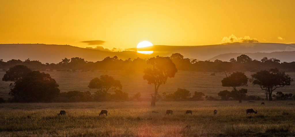 The Ultimate Guide to Maasai Mara: Best Time, Budget & What to Expect 2026 1 maasai mara safari guide