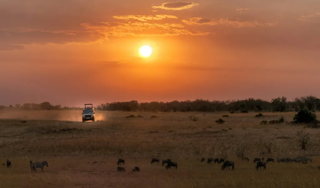 Best Safari Tour Operators for Luxury Experiences 2026 (Kenya Edition) 2 Best Safari Tour Operators for Luxury Experiences 2026 (Kenya Edition) - Kenya Incentives Tours and Safaris LIimited