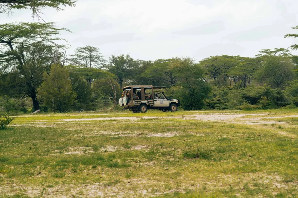 Is Nairobi Safe for Tourists Right Now? 2026 Overview 3 Is Nairobi Safe for Tourists Right Now 2026 Overview - Kenya Incentives Tours and Safaris Limited