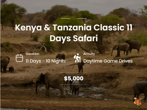 custom kenya safari